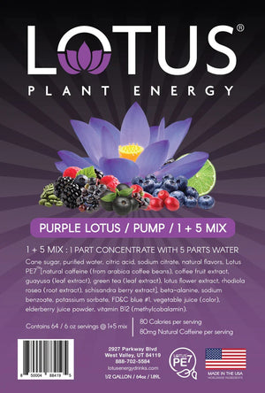 Purple Lotus Plant-Based Energy <B>Case Qty 6</B>